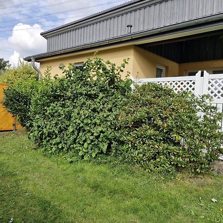 Komfortables Einzelhaus Mit Garten Halstenbek Exteriér fotografie